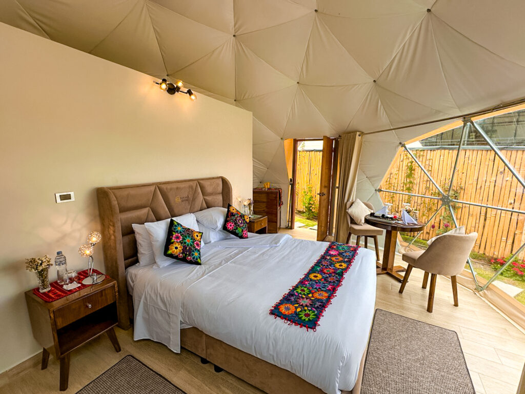 photo 4945354834039647604 y copia